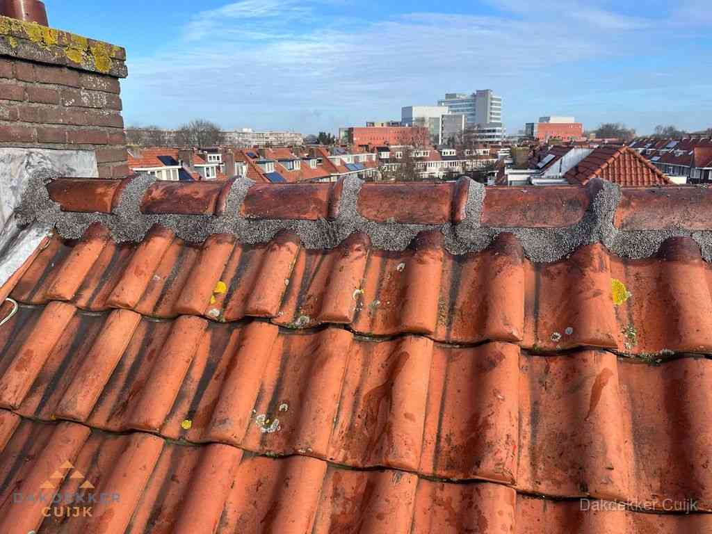 Nieuw bitumen plat dak met uitzicht over woonwijk in Cuijk