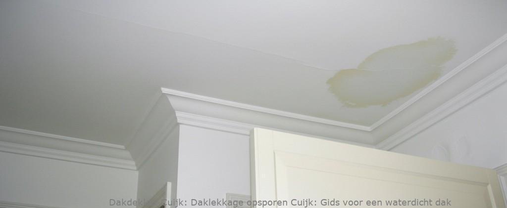 Daklekkage Opsporen Cuijk 1