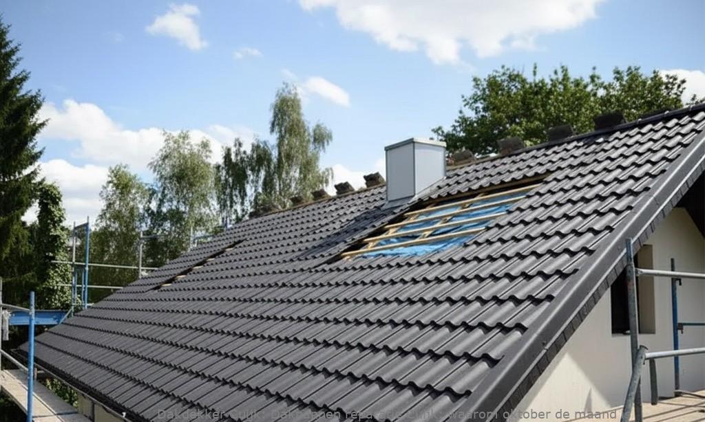 Dakpannen Reparatie Cuijk