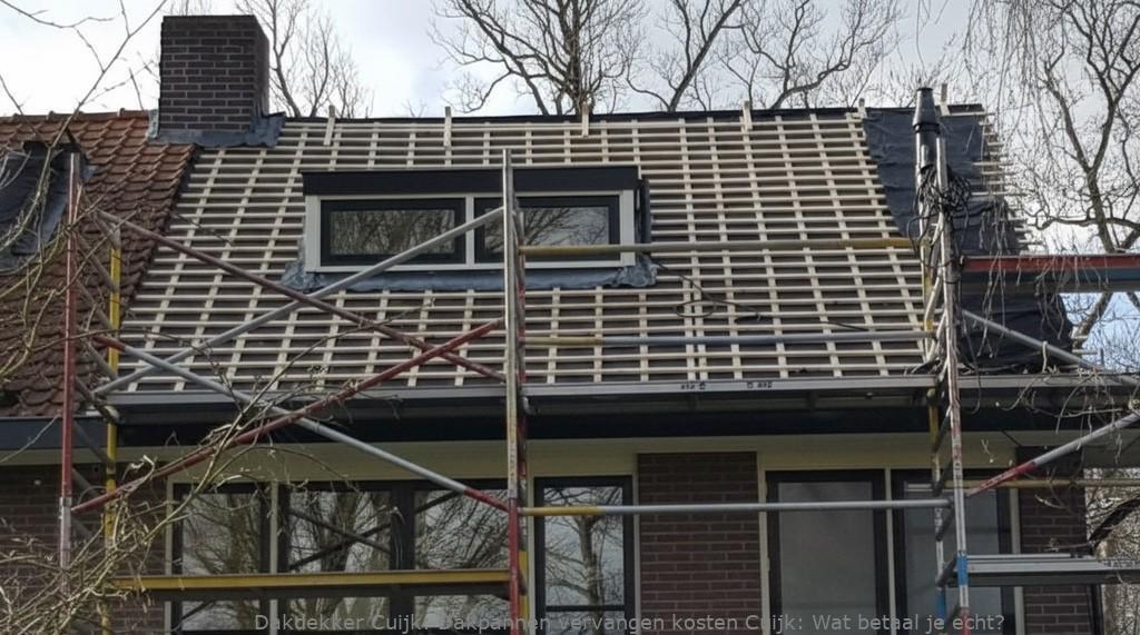 Dakpannen Vervangen Kosten Cuijk