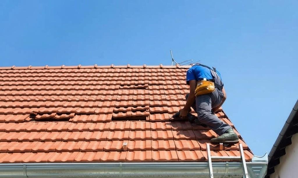 Dakreparatie En Verzekering Cuijk