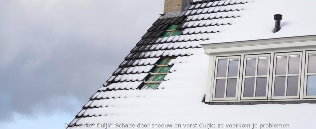 Schade Door Sneeuw En Vorst Cuijk