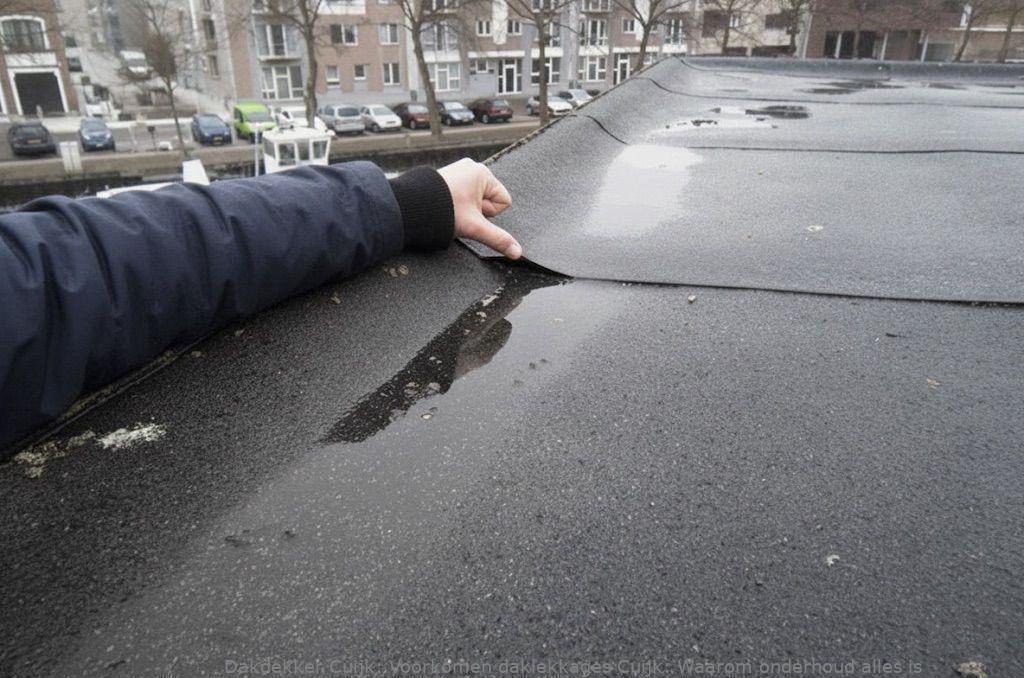 Voorkomen Daklekkages Cuijk